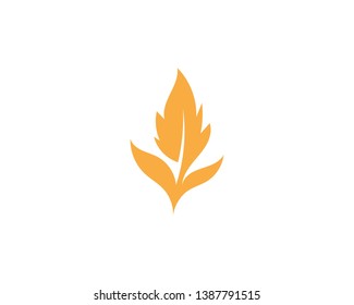 Maple leaf vector illustration design template