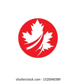Maple leaf vector illustration design template