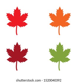 Maple leaf vector illustration design template