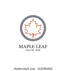 Maple leaf vector illustration design template
