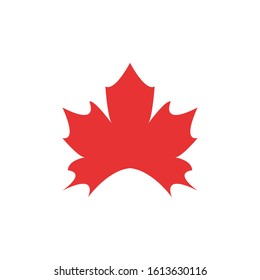 Maple leaf vector illustration design template