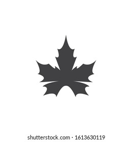 Maple leaf vector illustration design template