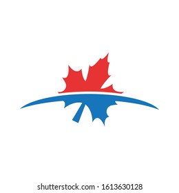 Maple leaf vector illustration design template