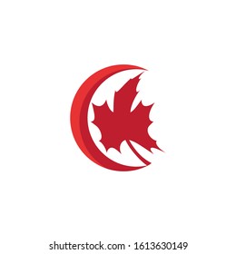 Maple leaf vector illustration design template