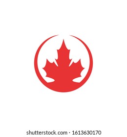 Maple leaf vector illustration design template