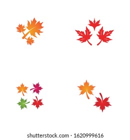 Maple leaf vector illustration design template