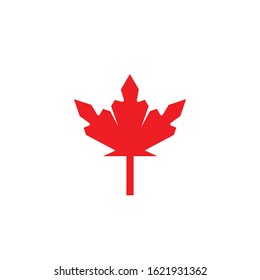 Maple leaf vector illustration design template