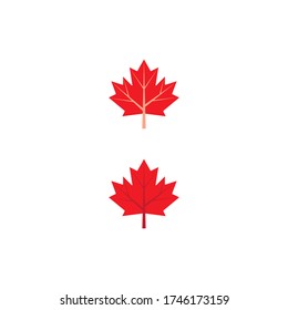 Maple leaf vector illustration design template