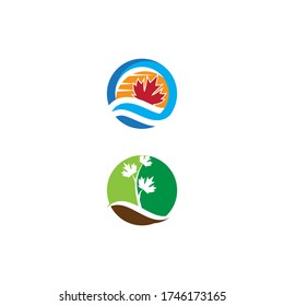 Maple leaf vector illustration design template