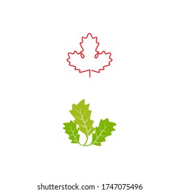 Maple leaf vector illustration design template