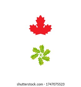 Maple leaf vector illustration design template