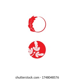 Maple leaf vector illustration design template