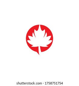 Maple leaf vector illustration design template