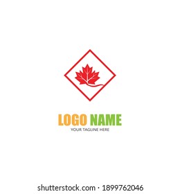 Maple leaf vector illustration design template