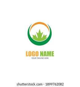 Maple leaf vector illustration design template