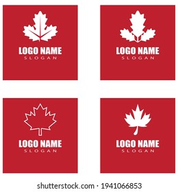 Maple leaf vector illustration design template