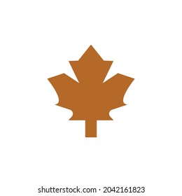 Maple leaf vector illustration design template