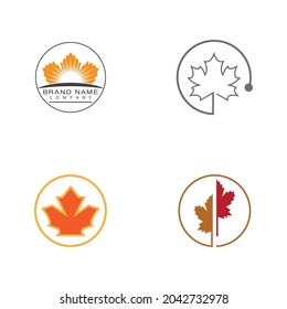 Maple leaf vector illustration design template