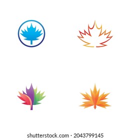 Maple leaf vector illustration design template