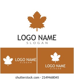 Maple leaf vector illustration design template