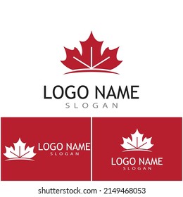 Maple leaf vector illustration design template
