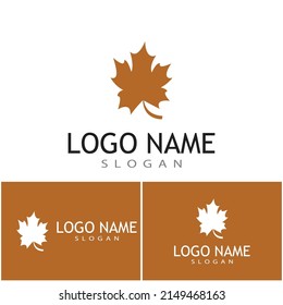 Maple leaf vector illustration design template