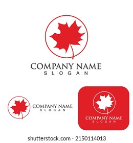 Maple leaf vector illustration design template