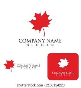 Maple leaf vector illustration design template