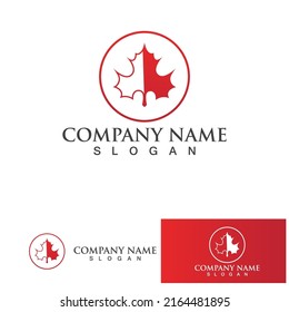 Maple leaf vector illustration design template