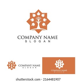 Maple leaf vector illustration design template