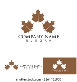 Maple leaf vector illustration design template