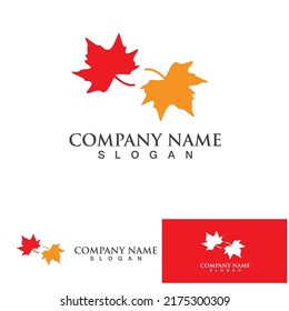 Maple leaf vector illustration design template