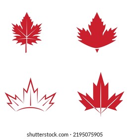 Maple leaf vector illustration design template