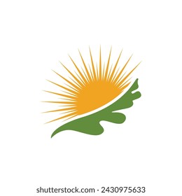 Maple leaf vector illustration design template