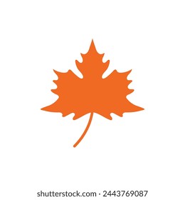 Maple leaf vector illustration design template