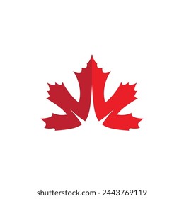 Maple leaf vector illustration design template