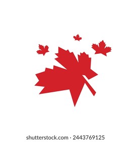 Maple leaf vector illustration design template