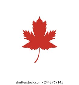 Maple leaf vector illustration design template