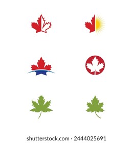 Maple leaf vector illustration design template