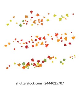 Maple leaf vector illustration design template