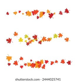 Maple leaf vector illustration design template