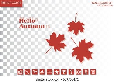 Maple leaf vector illustration EPS 10.