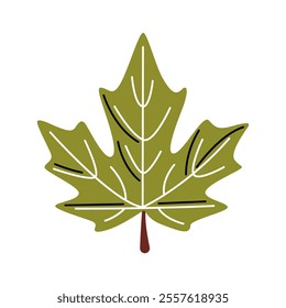 Maple leaf Vector Illustration. Good for Seasonal Designs.