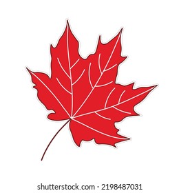 Maple leaf vector illustration. Isolated red autumn leaf sticker