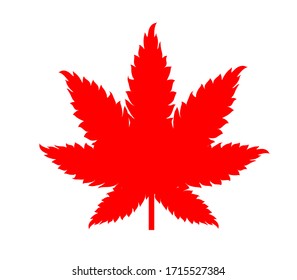 Maple leaf vector illustration on white background