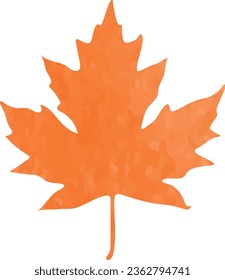 Maple leaf Vector image or clip art