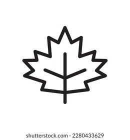 Maple leaf vector line icon. Leaf flat sign design. Leaf symbol isolated pictogram. UX UI icon of leave. Linear icon outline symbol