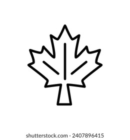 Maple leaf vector line icon illustration