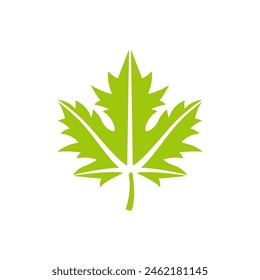 Maple leaf vector logo. Forest and wood symbol sign. Nature tree logo.