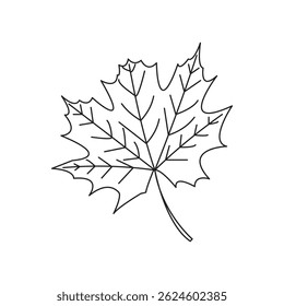 Maple leaf vector logo. Forest and wood symbol sign. Nature tree logo. EPS10